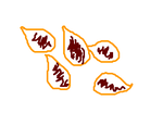 fimg_1300788050.png