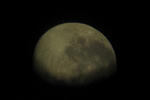 mond1-1