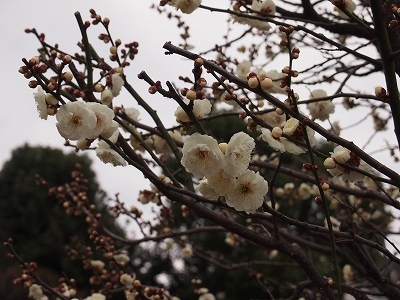 120304-1.jpg