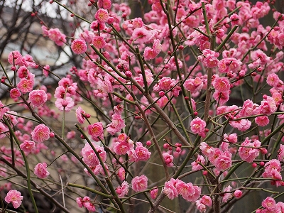120304-3.jpg