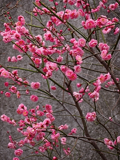 120304-11.jpg