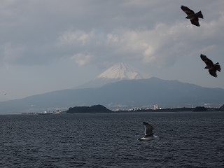 1300302-4.jpg