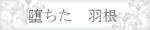 堕ちた　羽根
