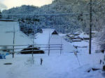 20090101.jpg