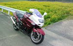 20090308.jpg
