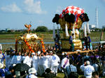 kamo01.jpg