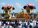 kamo02.jpg