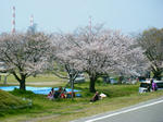 hana001.jpg