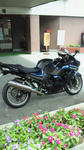 201008011258000.jpg