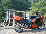 zyo004.jpg