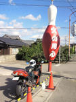 fuj006.jpg