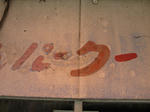 NEC_0041.jpg