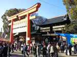 tubaki.jpg