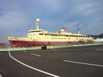 NEC_0136.jpg
