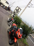 NEC_0226.jpg