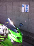 NEC_0313.jpg