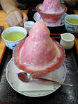 NEC_0317.jpg