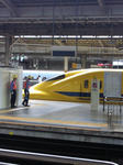 NEC_0367.jpg