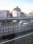 NEC_0368.jpg