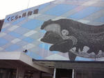 n007.jpg