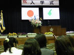 62916_3fe6166ed2b86b10b5466852b41bb651.jpg