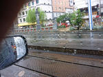 297-1.jpg