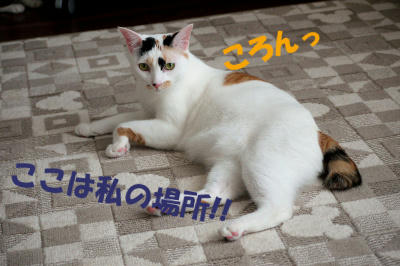 mugezo-0038.jpg