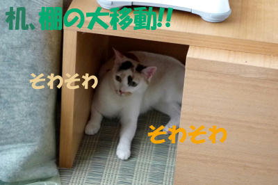 P1050610.jpg