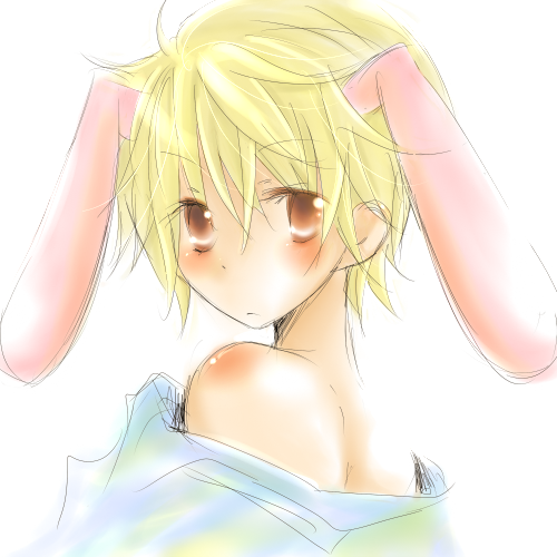 d4082daa.png