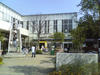 nikotama