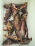 2010050316190000.jpg