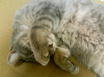 200712281142001.jpg