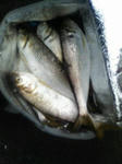 200906040857000.jpg