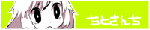 banner2.gif