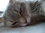 DSC01956.JPG