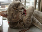 DSC01971.JPG