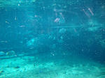 DSC02100.JPG