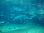 DSC02101.JPG