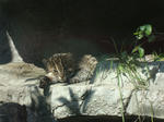 DSC02123.JPG