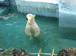 DSC02176.JPG