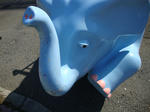 DSC02180.JPG