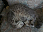 DSC02600.JPG