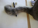 DSC02548.JPG