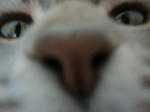 DSC02665.JPG