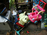 DSC03013.JPG