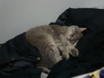 DSC03107.JPG