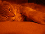 DSC03674.JPG