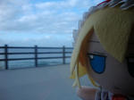 DSC04512.JPG