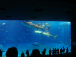 DSC04826.JPG