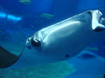 DSC04944.JPG